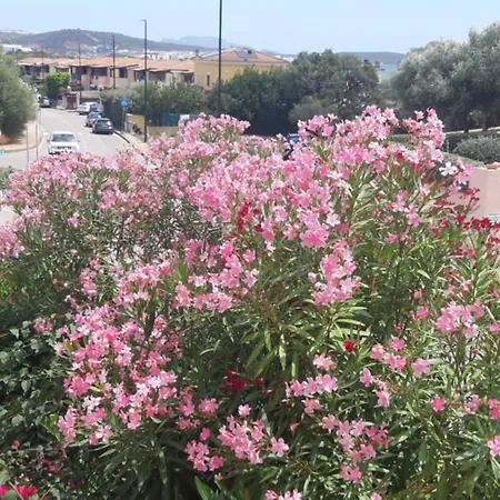 Raggio Di Sole - * Olbia